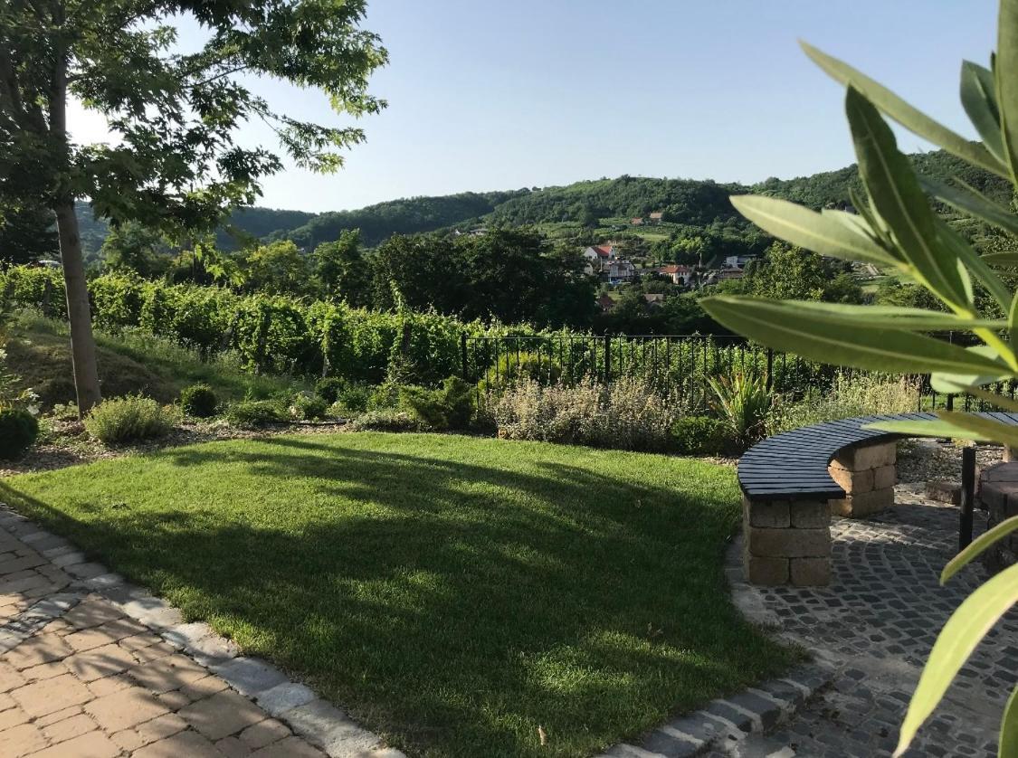 Vass-Villa Vendeghaz Szekszárd 外观 照片